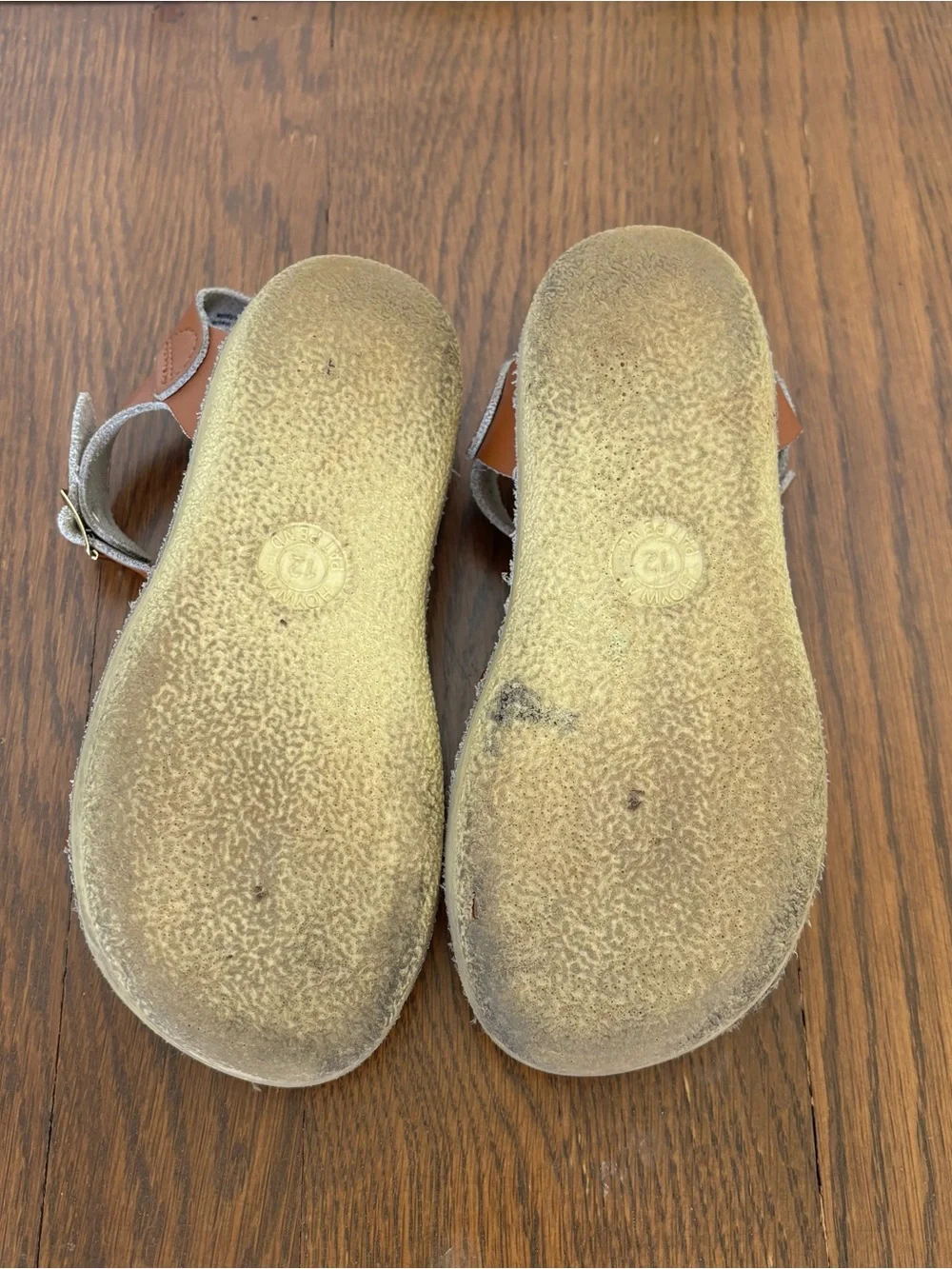 Salt Water Sandals by Hoy Brown Leather Buckle Kids Sandals